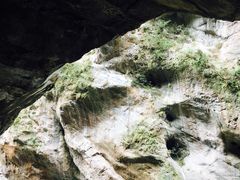 -太鲁阁公园