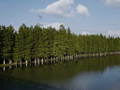 -嘉北郊野公园