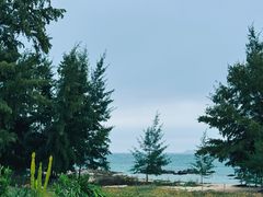 -花海间·即刻露营