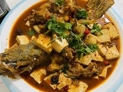 -煲来饱去冷水鱼