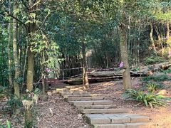 -广州市石门国家森林公园