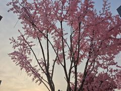 -首开·龙湖成都西宸天街