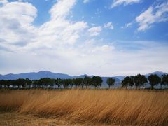 -野鸭湖国家湿地公园