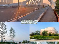 -星光岛