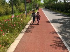 -上海长兴岛郊野公园