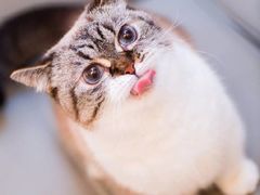 -鱼库·不仅是一家烤鱼店(车公庙店)