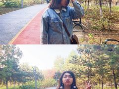 -大兴滨河森林公园