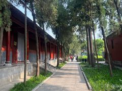 -洛阳白马寺