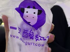 -一只酸奶牛(八一路店)