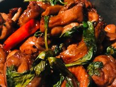-欣叶食艺轩