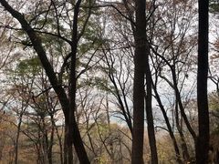 -香炉山国家森林公园