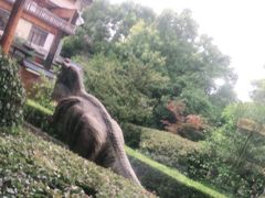 -庐山天沐温泉度假村