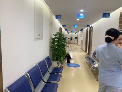 -成都西区医院整形美容