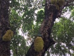 -中旅阿那亚九龙湖·公主酒店