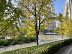 -苏州河梦清园环保主题公园