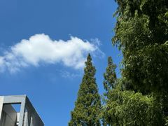 -CoCo都可(十全东店)