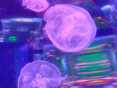 -石林冰雪海洋世界