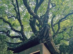 -兰亭风景区