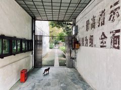 -枫泾古镇-人民公社旧址