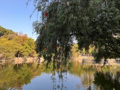 -星海公园(番禺区)