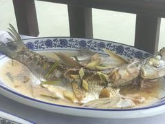 清蒸白水鱼-洞天食府(北大街店)