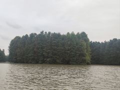 -上海海湾国家森林公园