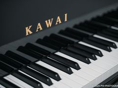 -柏斯琴行(汾阳店)