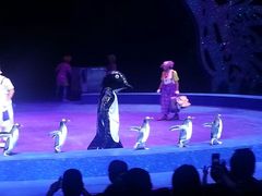 -珠海横琴长隆《卡卡虎奇遇记》