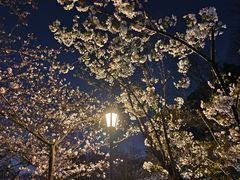 -鸡鸣寺