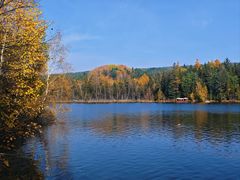 -五营红松林海景区