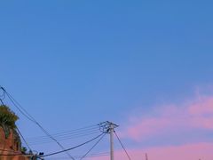 -枸杞岛