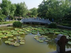 -迎泽公园