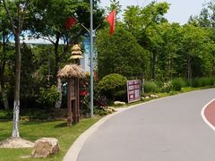 -上海长兴岛郊野公园