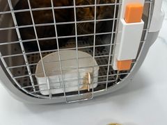 -嘉馨宠物医院·CT影像转诊·心脏科·犬猫全科诊疗中心(下沙大学城院区)