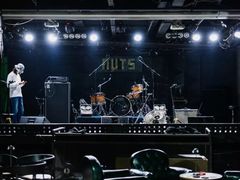 -坚果NUTS