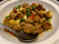 干锅石门肥肠-东方红酒楼(知春路店)