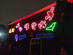 -南湖梦幻岛