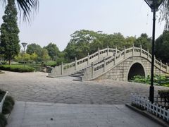 -河泥荡文化公园