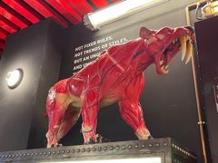 -drivepro(三里屯店)