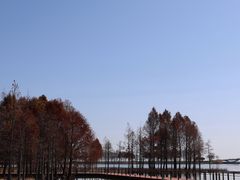 -贡湖湾湿地公园