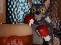 -Boxing Cat Brewery拳击猫精酿啤酒馆(永福店)