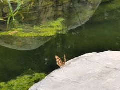 -绿堤公园