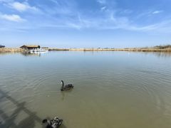-宁波杭州湾国家湿地公园
