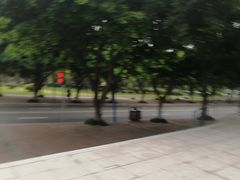 -西南政法大学(渝北校区)