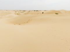 -银肯塔拉沙漠生态旅游景区