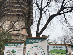 -玲珑塔公园