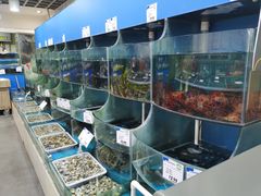 -果蔬好生活超市(双井店)