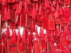 -采粤轩中餐厅(惠州金海湾喜来登度假酒店)