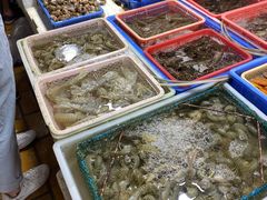 -都斛海鲜街