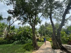 -西双版纳傣族园